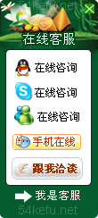 53-QQ、msn、贸易通、skype在线客服代码